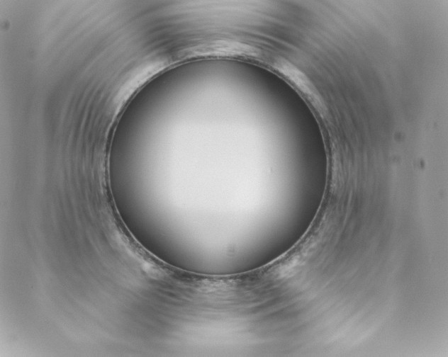 X0000088610850200706151825