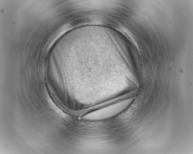 X0000088610851200706151825