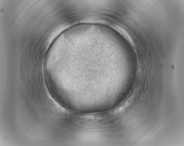 X0000088610855200706151825