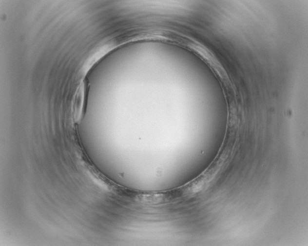 X0000088610858200706151825