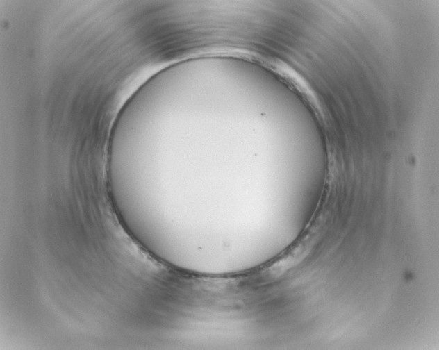 X0000088610860200706151825