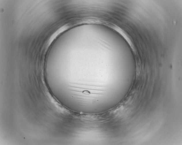 X0000088610861200706151825