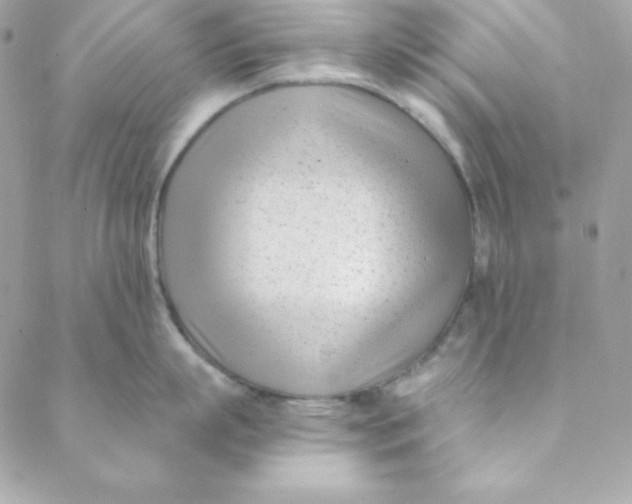 X0000088610863200706151825