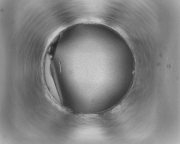 X0000088610864200706151825