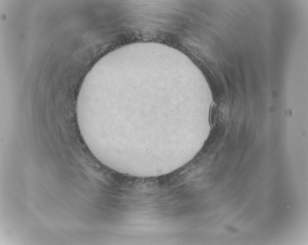 X0000088610865200706151824