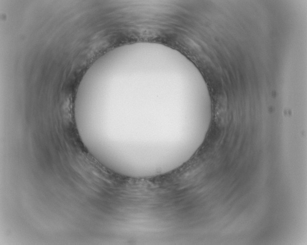 X0000088610866200706151824