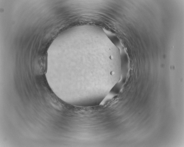 X0000088610868200706151824