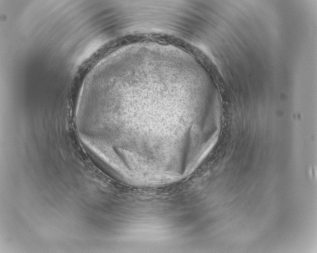 X0000088610871200706151824