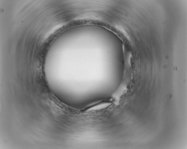 X0000088610872200706151824