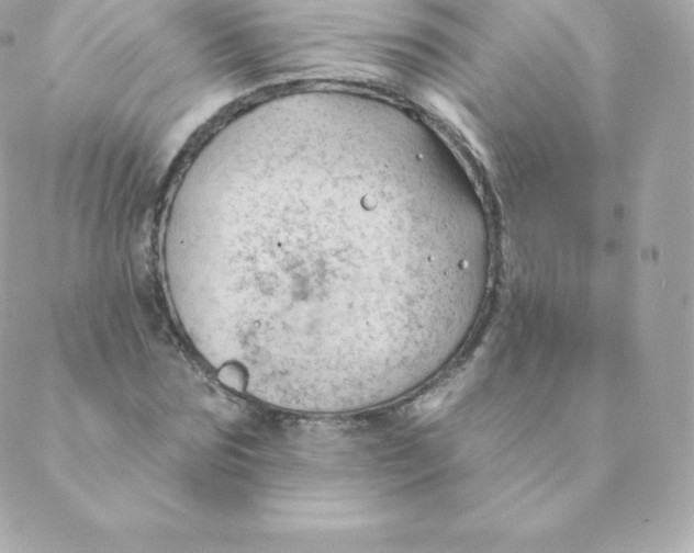 X0000088610875200706151824