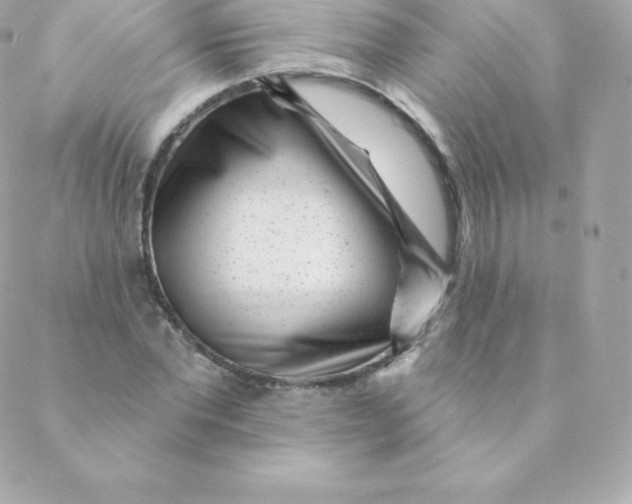 X0000088610877200706151824