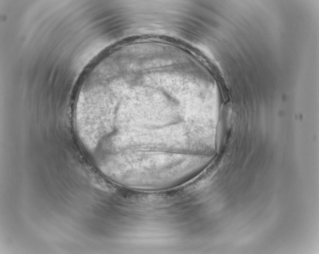 X0000088610879200706151824