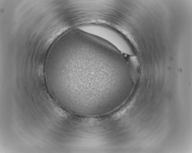 X0000088610881200706151824