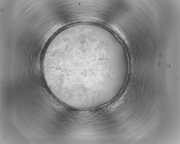 X0000088610883200706151824