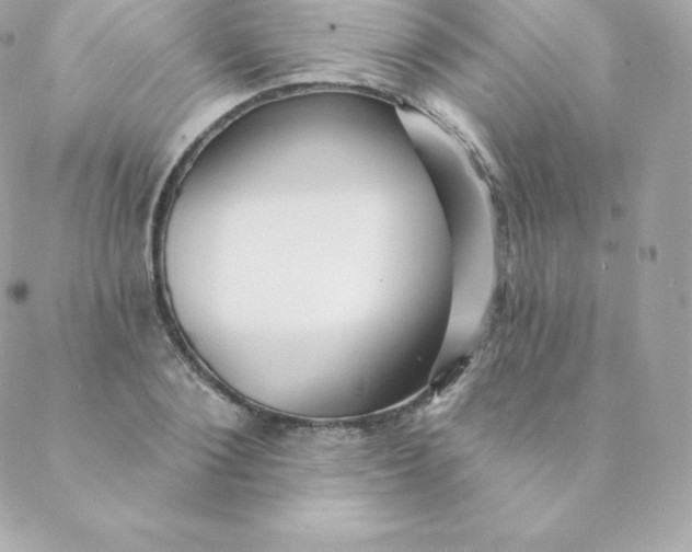 X0000088610884200706151824