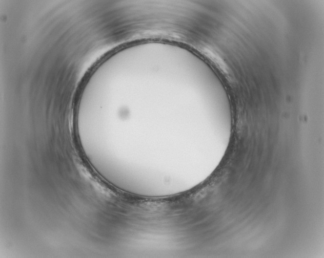 X0000088610888200706151824