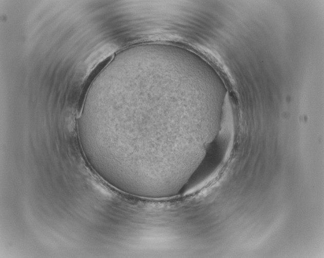 X0000088610889200706151824