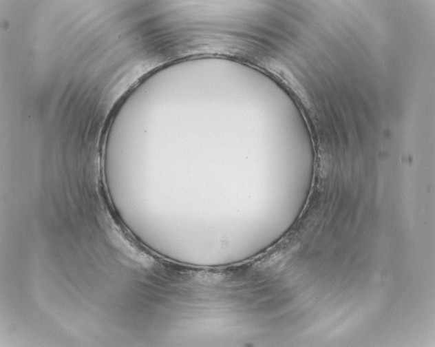 X0000088610890200706151824