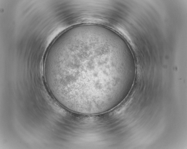 X0000088610891200706151824