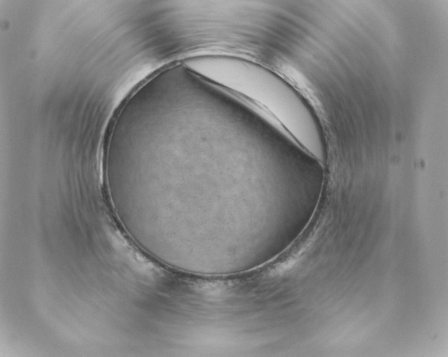 X0000088610892200706151824