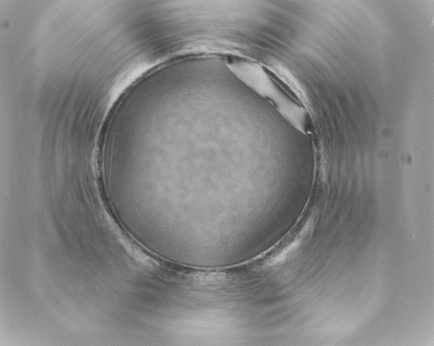 X0000088610893200706151824