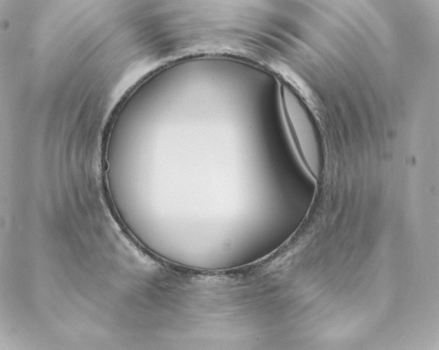 X0000088610894200706151824