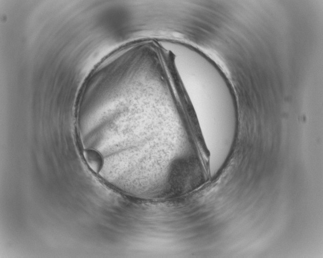 X0000088610895200706151824