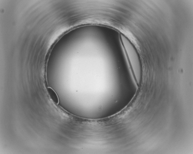 X0000088610896200706151824