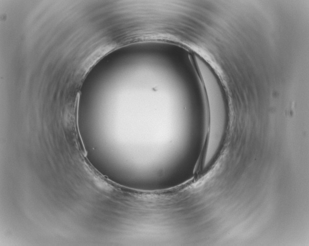 X0000088610897200706151824