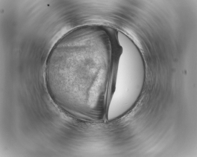 X0000088610899200706151824