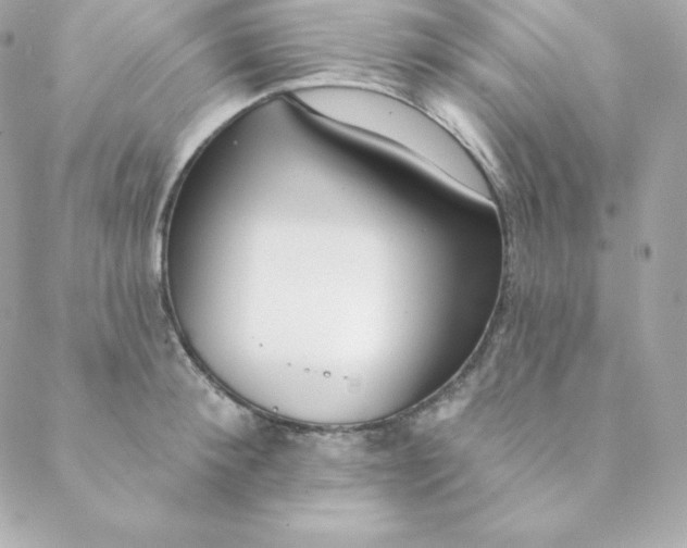 X0000088610900200706151824