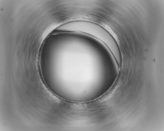 X0000088610901200706151824