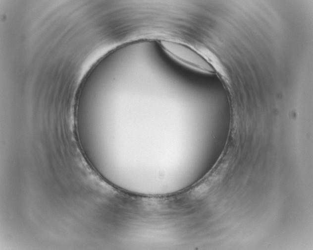 X0000088610904200706151824