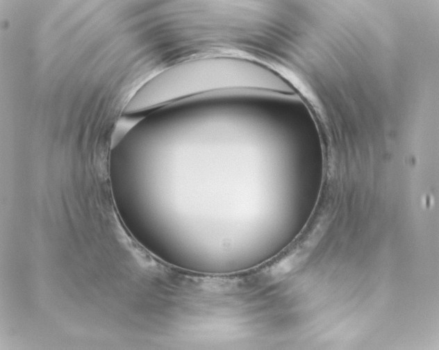 X0000088610905200706151824