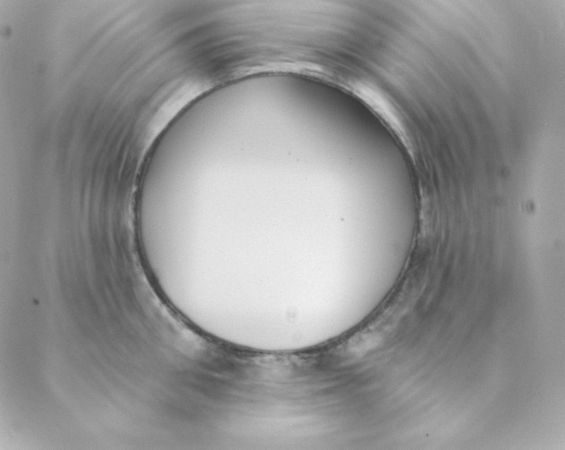 X0000088610906200706151824