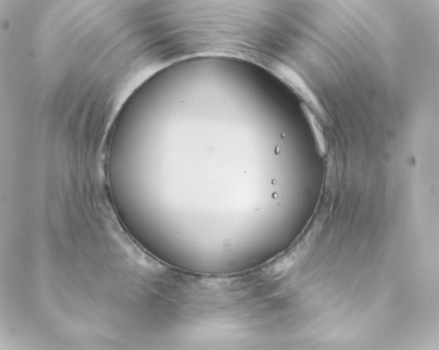 X0000088610908200706151824