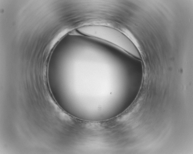 X0000088610909200706151824