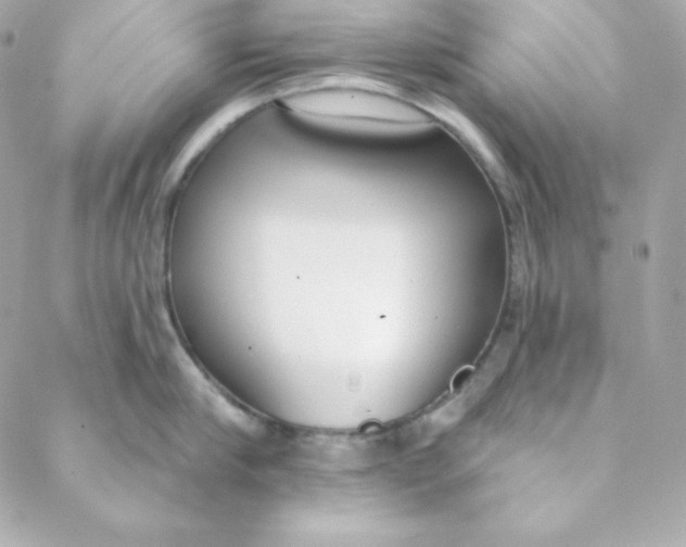 X0000088610910200706151824