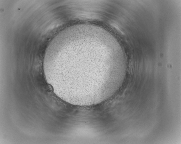 X0000088610917200706151823