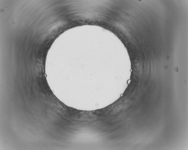 X0000088610918200706151823