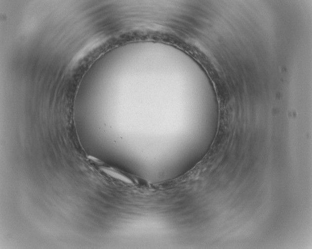 X0000088610919200706151823