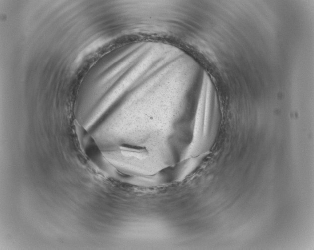 X0000088610920200706151823