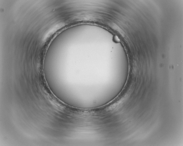 X0000088610922200706151823