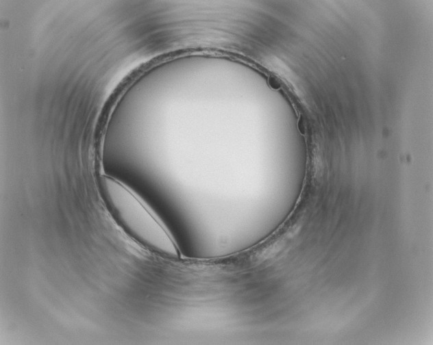 X0000088610924200706151823