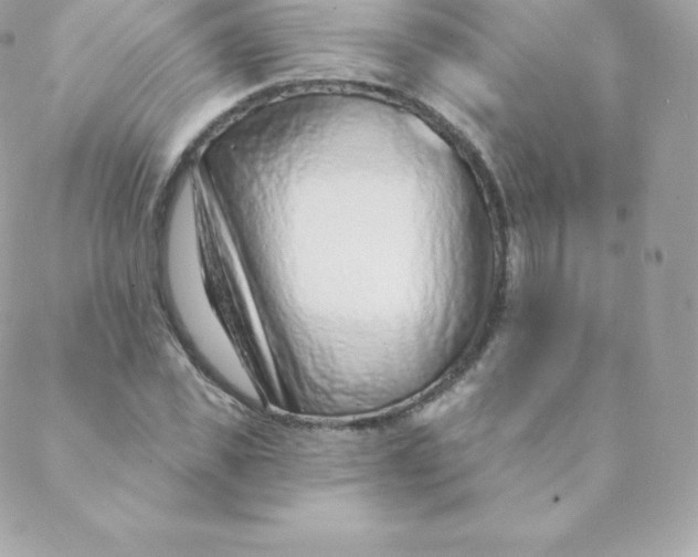 X0000088610925200706151823