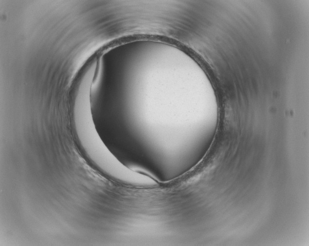 X0000088610926200706151823