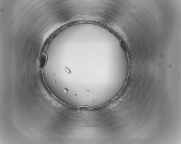 X0000088610928200706151823