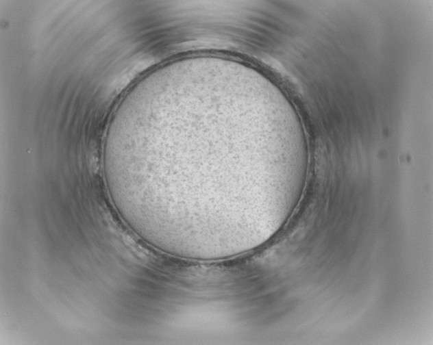 X0000088610929200706151823