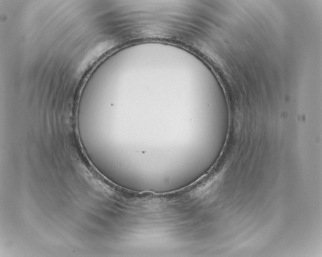 X0000088610930200706151823