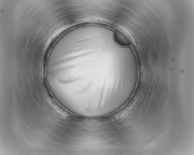 X0000088610931200706151823